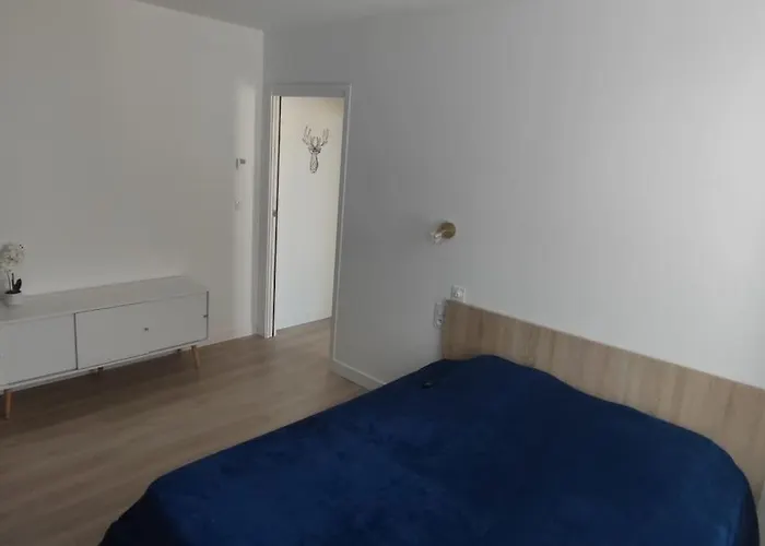 Au Centre Du Monde Selon Dali Appartement Perpignan