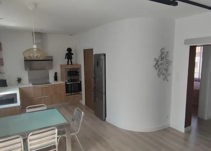 Au Centre Du Monde Selon Dali Appartement Perpignan